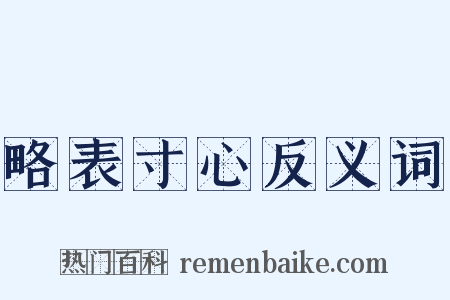 略表寸心反义词是什么意思的图片